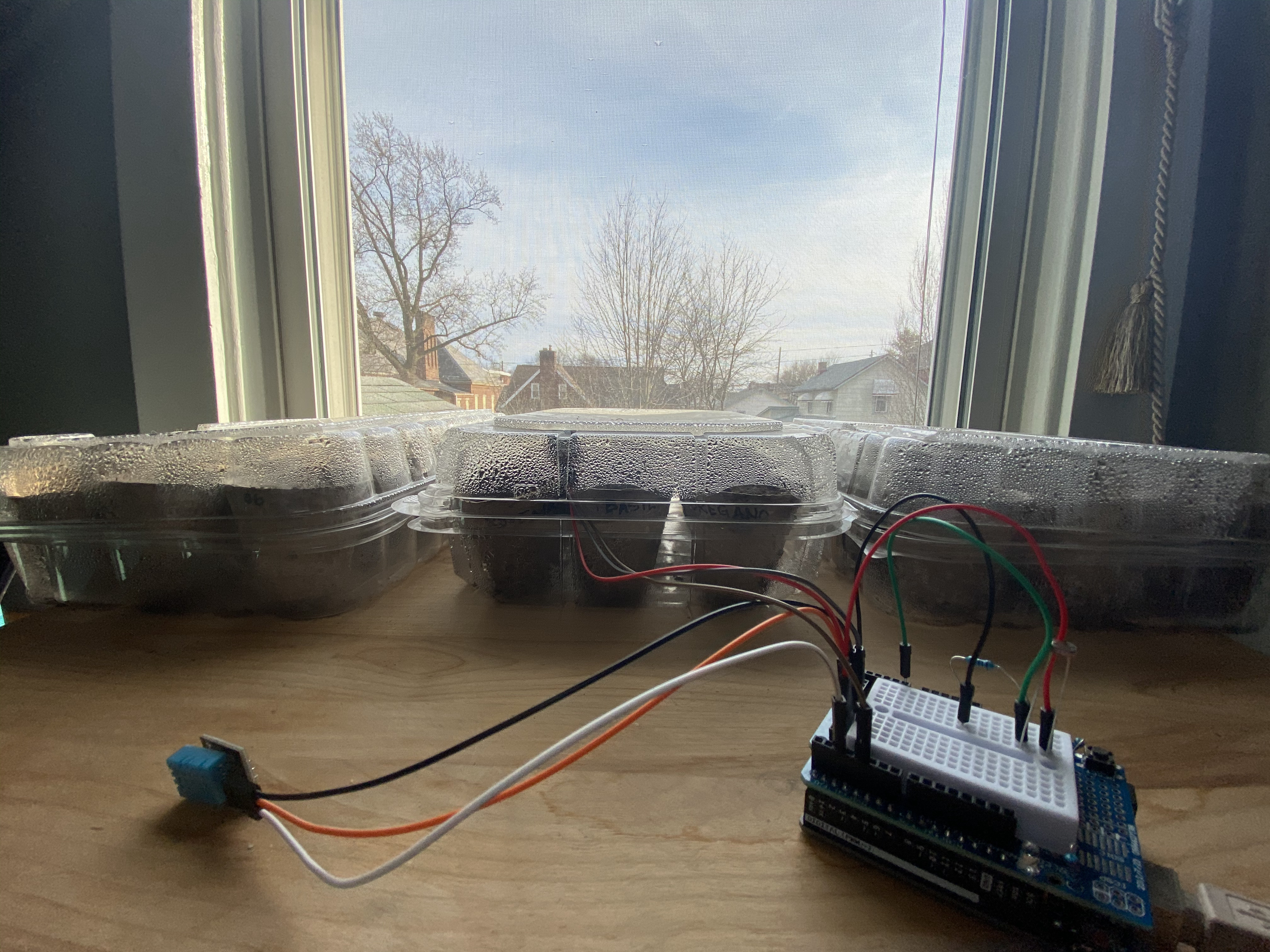 Arduino and sensors on bench in front of seedlings in plastic containers.